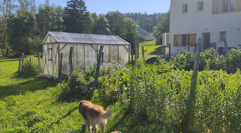 Vue de l'éxtérieur studio en été